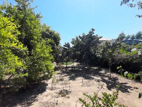 12 otaqlı həyət evi/bağ evi - Novxanı q. - 450 m²