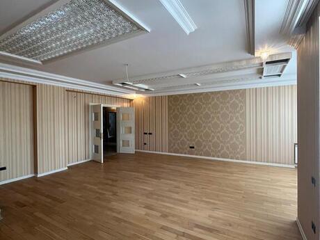 5 otaqlı yeni tikili - 28 May m. - 300 m²