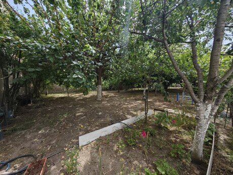6 otaqlı həyət evi/bağ evi - Qaraçuxur q. - 280 m²