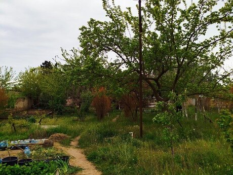 6 otaqlı həyət evi, 180 m², Novxanı: 390 000 ₼ 5