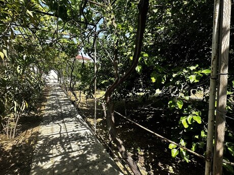 4 otaqlı həyət evi, 130 m², Novxanı: 170 000 ₼ 2