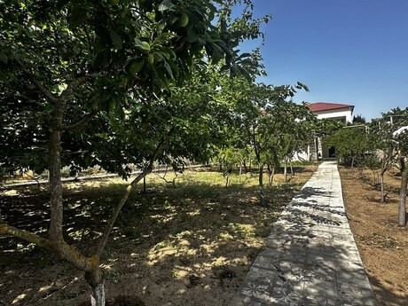 4 otaqlı həyət evi, 130 m², Novxanı: 170 000 ₼ 3