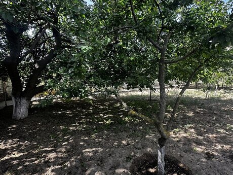 4 otaqlı həyət evi, 130 m², Novxanı: 170 000 ₼ 4