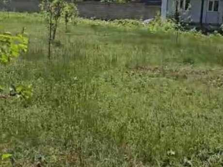 Объявление №5247082 - Габала, Габала, 20 сот