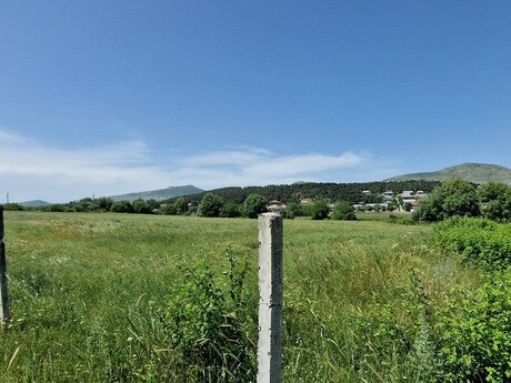 Torpaq - Şamaxı - 226 sot