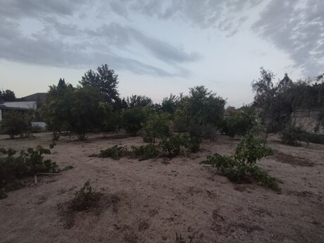 Elan №5249370 - Bakı, Bilgəh q., 25 sot