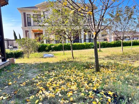 6 otaqlı həyət evi/bağ evi - Novxanı q. - 400 m²