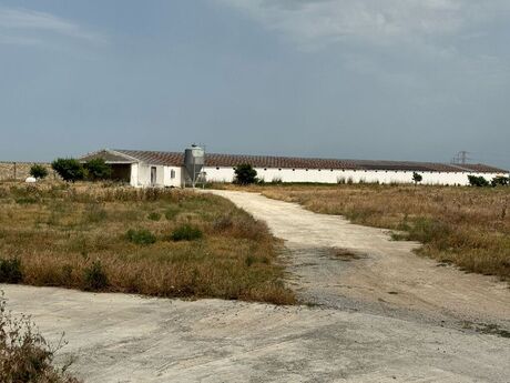 Obyekt - Hövsan q. - 2200 m²