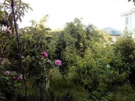 5 otaqlı həyət evi/bağ evi - Biləcəri q. - 250 m²