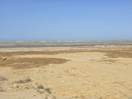 Torpaq - Novxanı q. - 100 sot