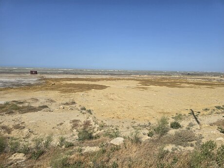 Torpaq - Novxanı q. - 100 sot