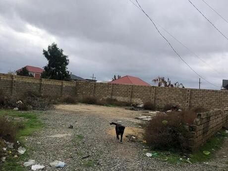 Участок - пос. Нардаран - 5 сот