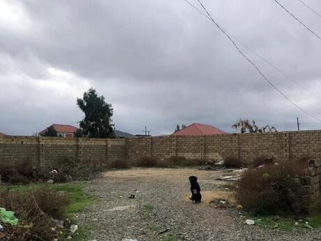 Участок - пос. Нардаран - 5 сот