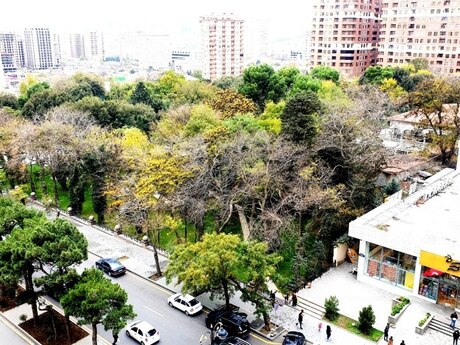 5 otaqlı yeni tikili - Nizami m. - 286 m²