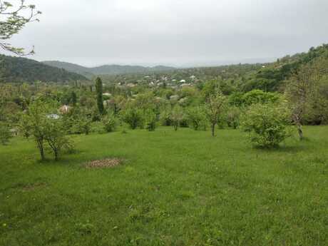 Elan №5271226 - Qəbələ, Qəbələ, 50 sot