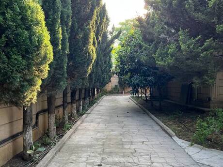 17-комн. офис - м. 8 ноября - 750 м²