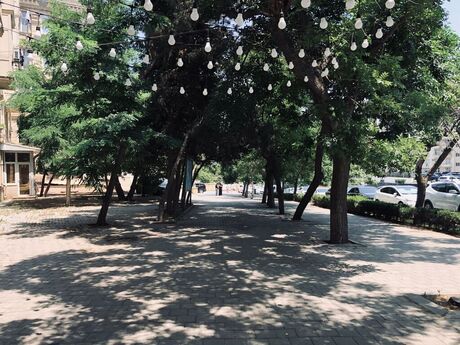 1 otaqlı ofis - Elmlər Akademiyası m. - 20 m²