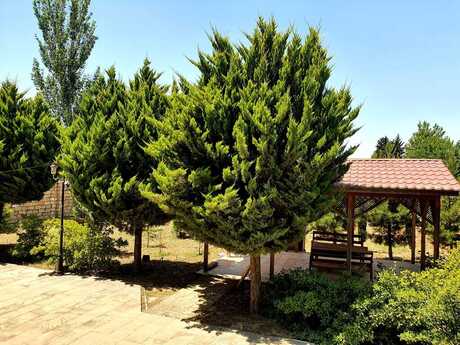 8 otaqlı həyət evi/bağ evi - Novxanı q. - 340 m²