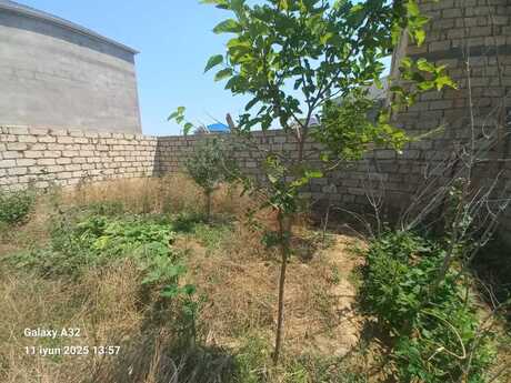 Elan №5273556 - Bakı, Azadlıq Prospekti m., 2 sot