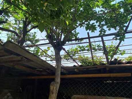 6 otaqlı həyət evi, 150 m², Azadlıq Prospekti: 450 000 ₼ 5