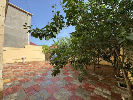 6 otaqlı həyət evi/bağ evi - Badamdar q. - 270 m²