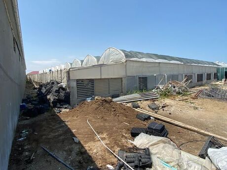 Obyekt - Türkan q. - 6500 m²