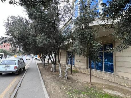 Объявление №5279816 - Хырдалан, Хырдалан, 600 м²