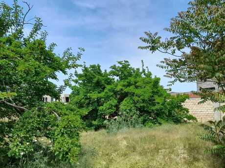 Участок - пос. Бильгях - 11.5 сот