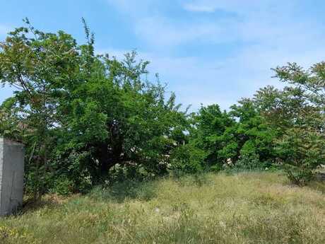 Участок - пос. Бильгях - 11.5 сот