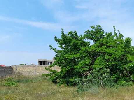 Участок - пос. Бильгях - 11.5 сот