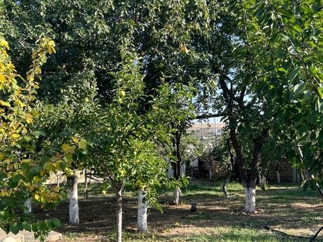 5 otaqlı həyət evi/bağ evi - Xızı - 180 m²