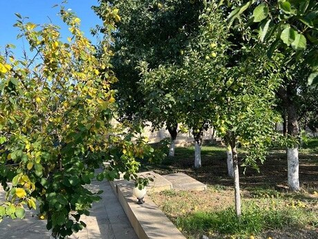 5 otaqlı həyət evi/bağ evi - Xızı - 180 m²