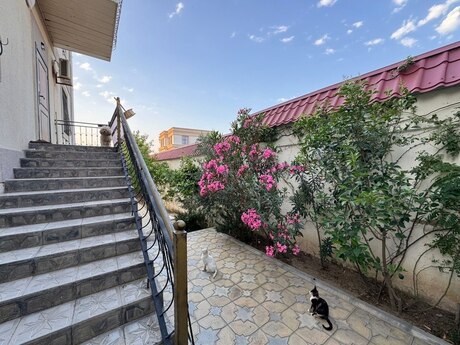 5 otaqlı həyət evi/bağ evi - Badamdar q. - 220 m²