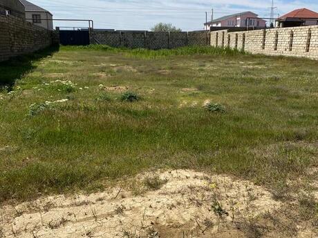 Участок - пос. Мардакан - 11 сот