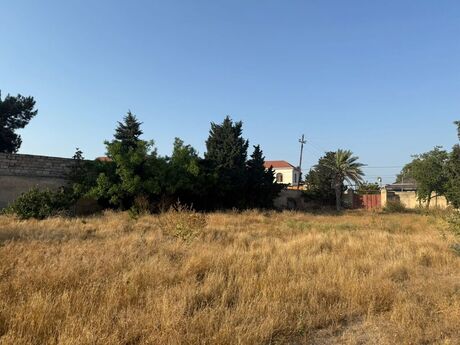 Участок - пос. Шувеляны - 12 сот