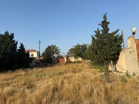 Участок - пос. Шувеляны - 12 сот