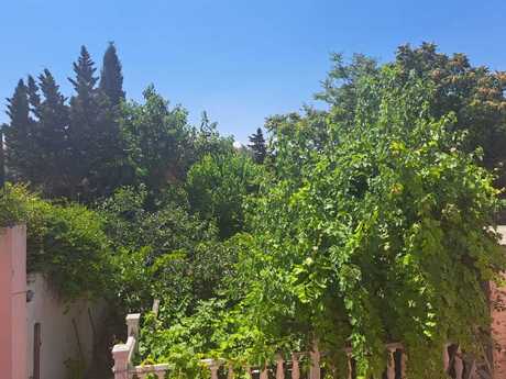 3 otaqlı həyət evi/bağ evi - Badamdar q. - 200 m²