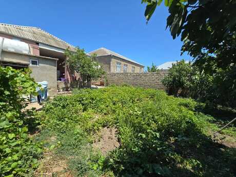 4 otaqlı həyət evi/bağ evi - Binə q. - 110 m²