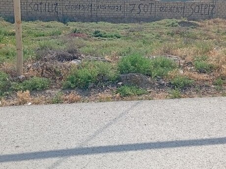 Elan №5291152 - Bakı, Saray q., 34 sot