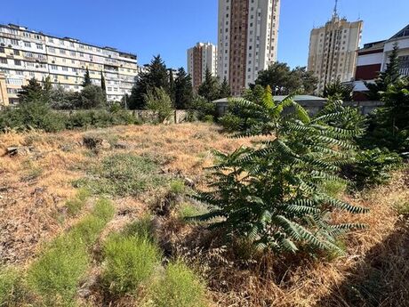 Elan №5293219 - Bakı, 9-cu mikrorayon q., 8 sot