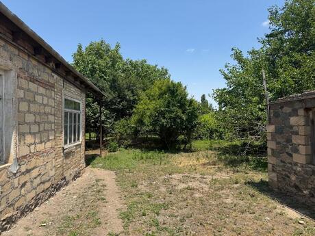 3 otaqlı həyət evi/bağ evi - Gəncə - 58.8 m²