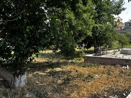 4 otaqlı həyət evi/bağ evi - Novxanı q. - 200 m²