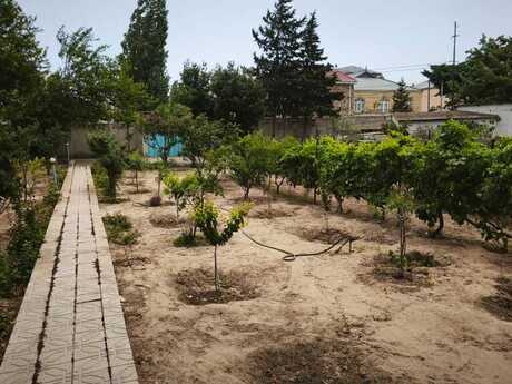 5 otaqlı həyət evi/bağ evi - Novxanı q. - 290 m²