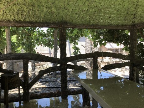 Kürdəxanıda 2 otaqlı həyət evi kirayə verilir, 55 m², 400 AZN/ay, şəkil 5 / 12