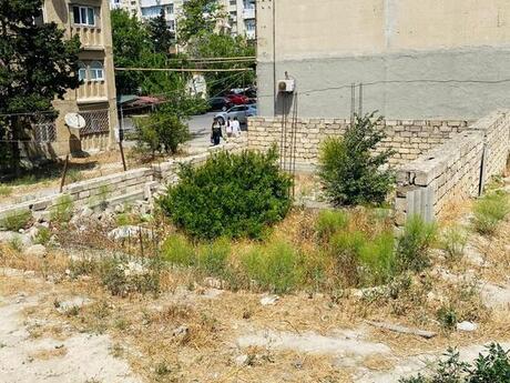 Torpaq - Massiv V q. - 2 sot