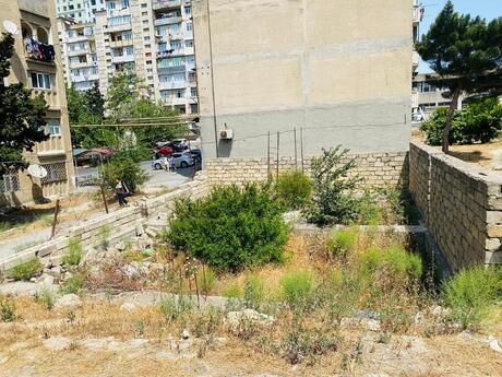 Torpaq - Massiv V q. - 2 sot