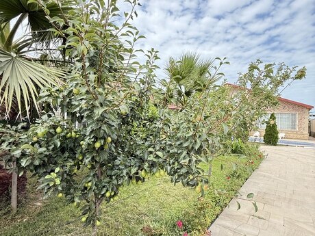 4 otaqlı həyət evi/bağ evi - Mərdəkan q. - 250 m²