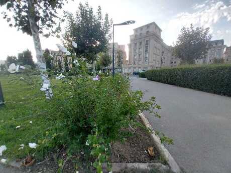 4-комн. новостройка - пос. Баилова - 145 м²