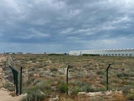 Объявление №5329592 - Баку, пос. Зире, 200 сот