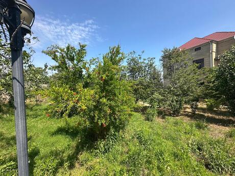 10 otaqlı həyət evi/bağ evi - Novxanı q. - 650 m²